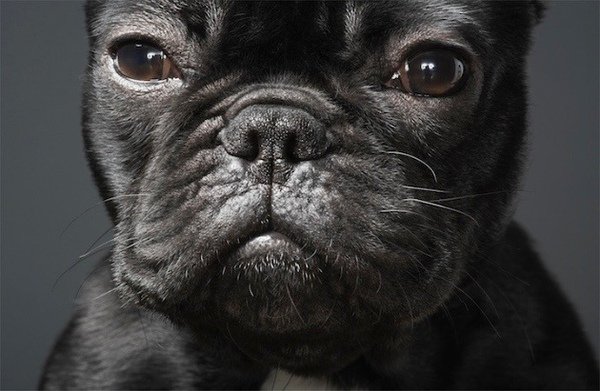 timflach4-thumb.jpg