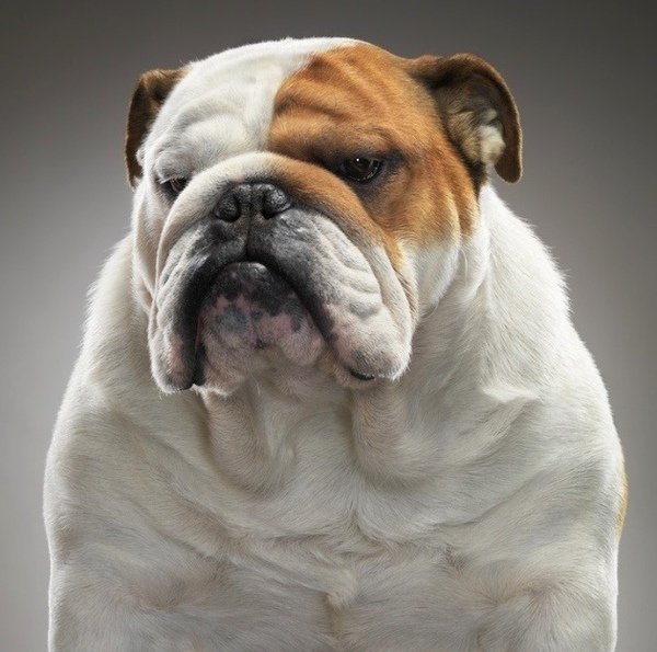 timflach8-thumb.jpg