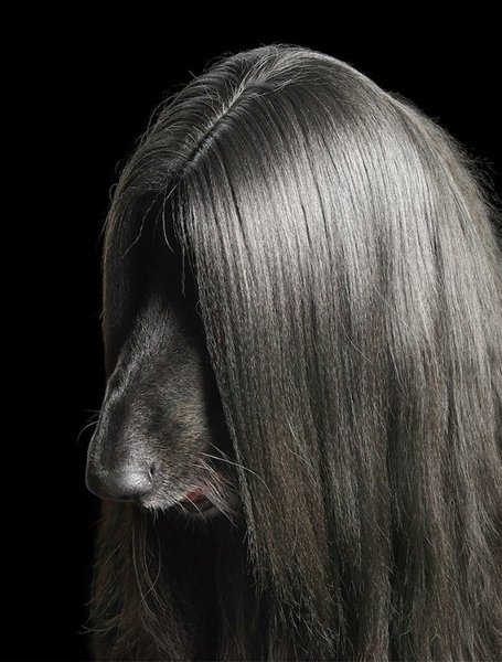 timflach17-thumb.jpg