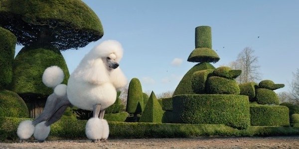 timflach21-thumb.jpg