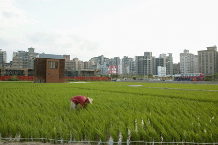 2林銓~1.GIF