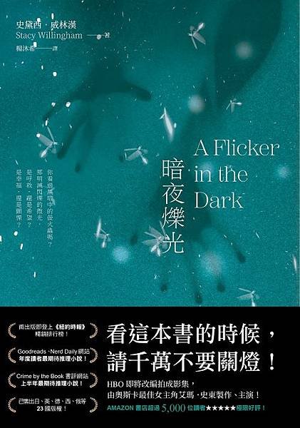 暗夜爍光 A Flicker in the Dark