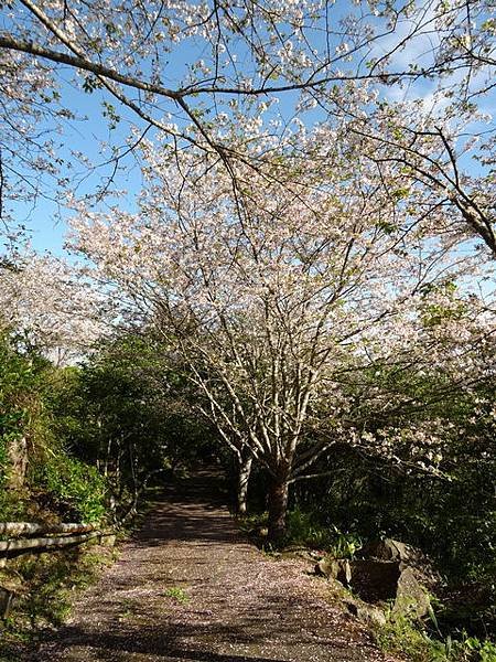 DSC08010.jpg
