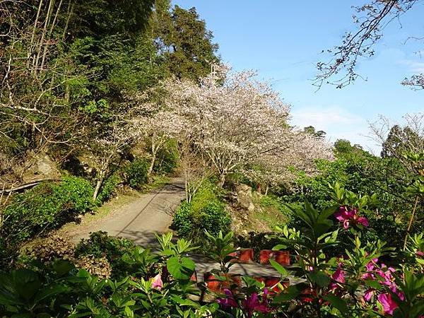 DSC08013.jpg