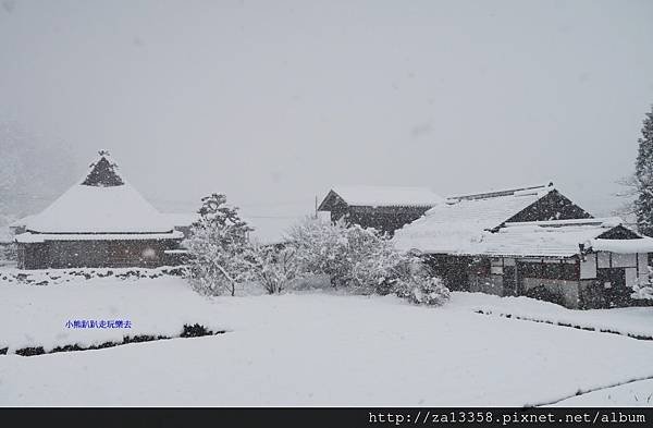 IMG_0737.JPG