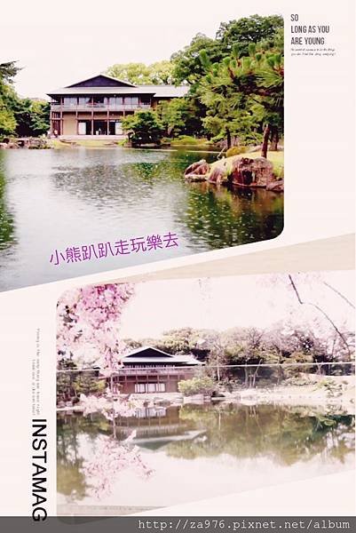 2016雜七雜八_1439.jpg