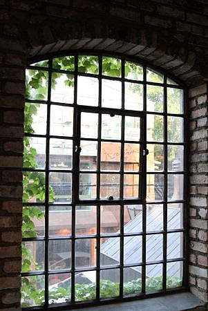 IMG_8921