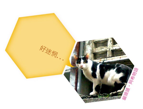 阿希
