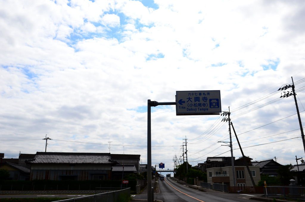 DSC_8691