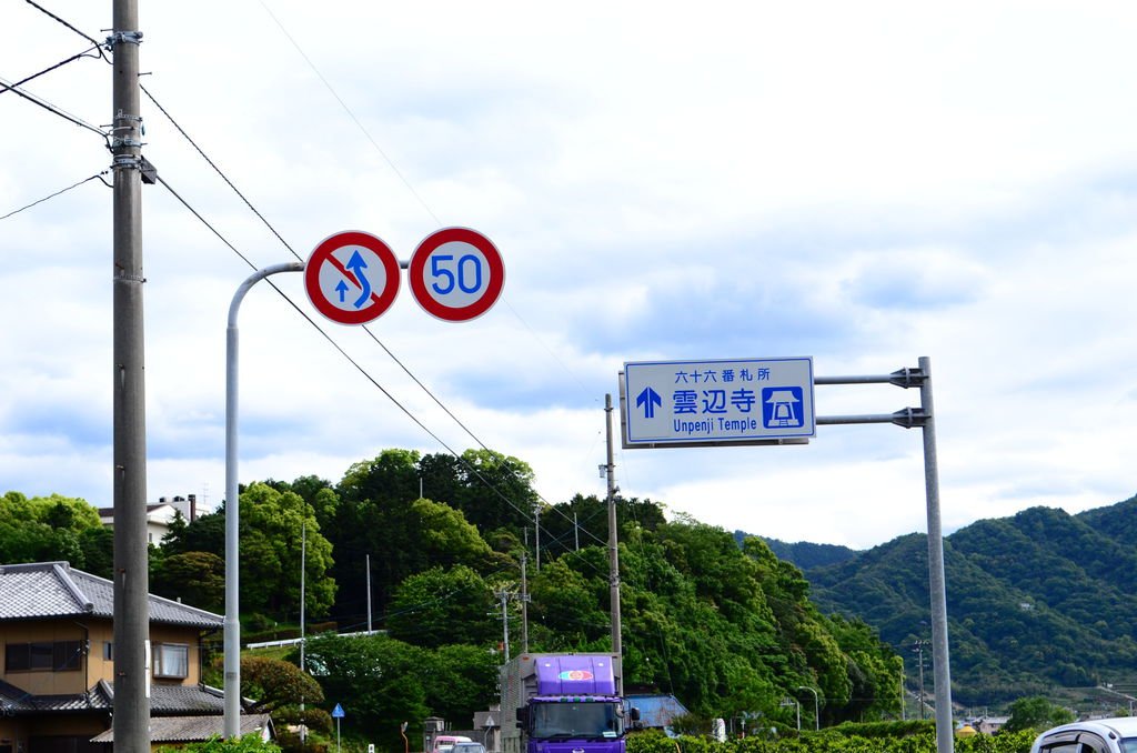 DSC_8695