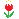 tulip_red.gif