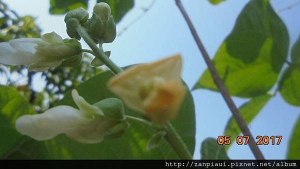 DSC00780.JPG