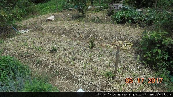 DSC00827.JPG