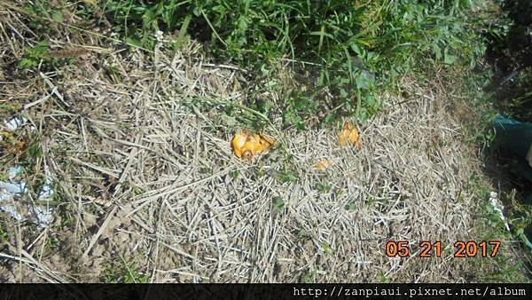 DSC00855.JPG