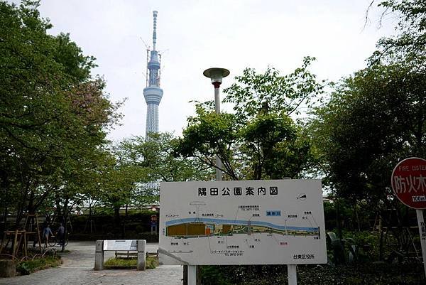 走著走著就可以到達隅田川旁的隅田公園，從這裡可以搭船過去台場