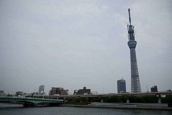 天空樹聳立大地