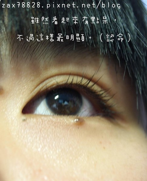 PB090626.JPG