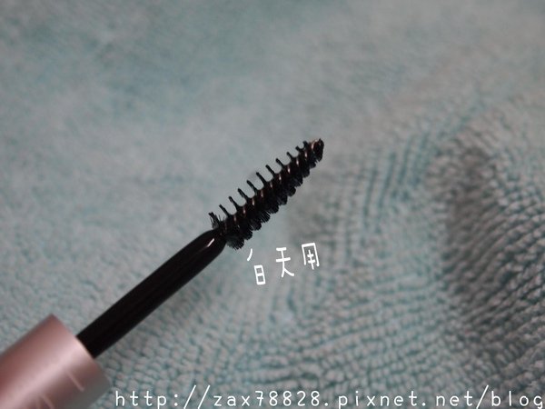 PB090654.JPG