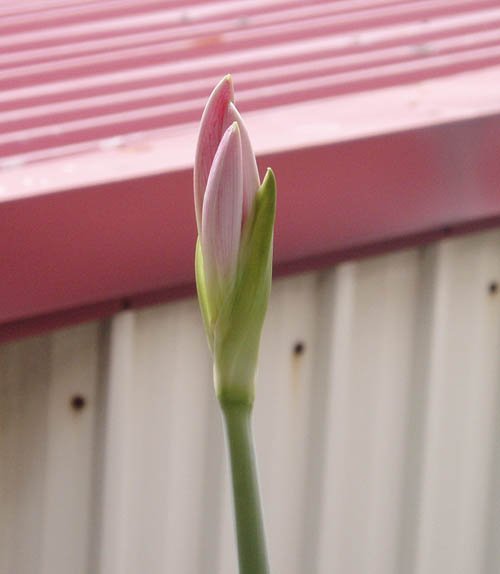 2012091601