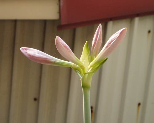 2012091603