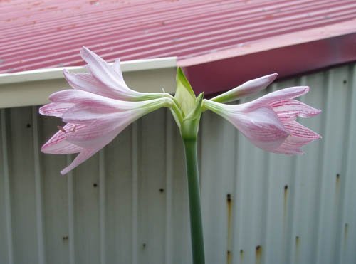 2012091604