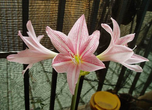 2012091606