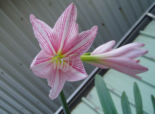 2012091605