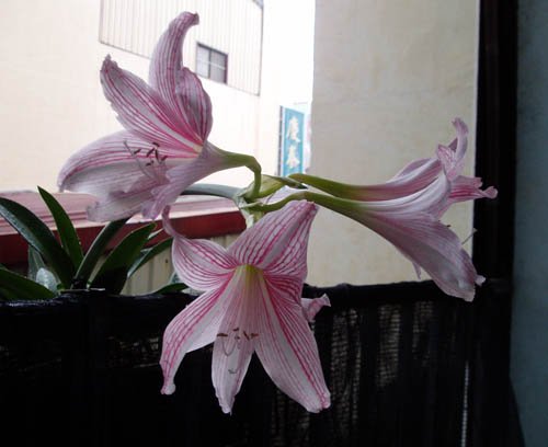 2012091608
