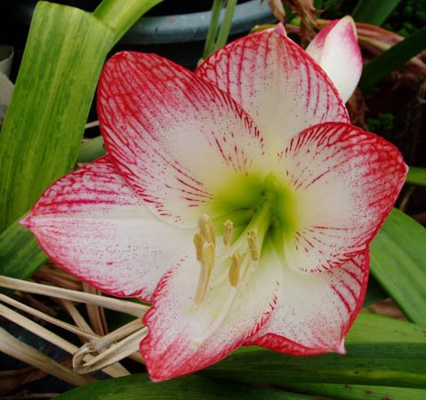 2013032914