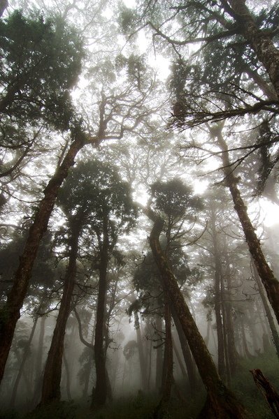 山林之旅