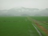 山形鶴岡20.JPG