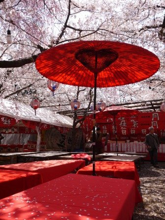 平野神社0119