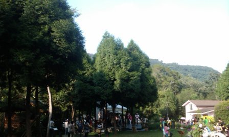 尖石薰衣草森林06.jpg