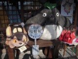 Kyushu052.JPG