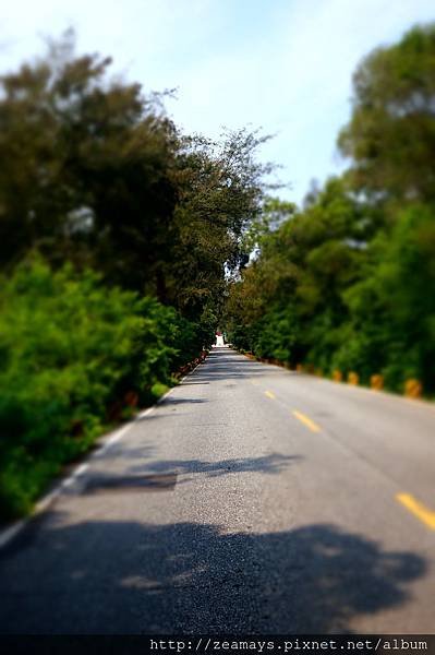 DSC01489