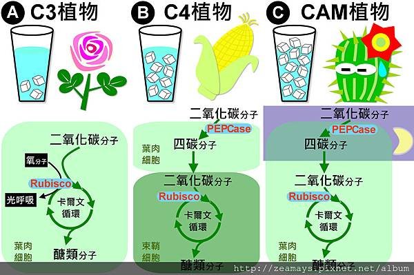 Fig 2_調整大小