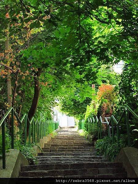 Green Path in Bratislava