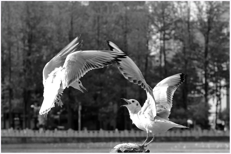 IMG_5344(1)-1.jpg