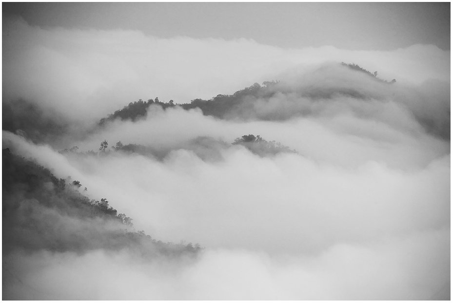 IMG_6798(1)-1.jpg