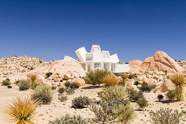 joshuatree06.jpg