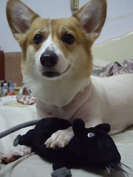 IMGP9402.jpg