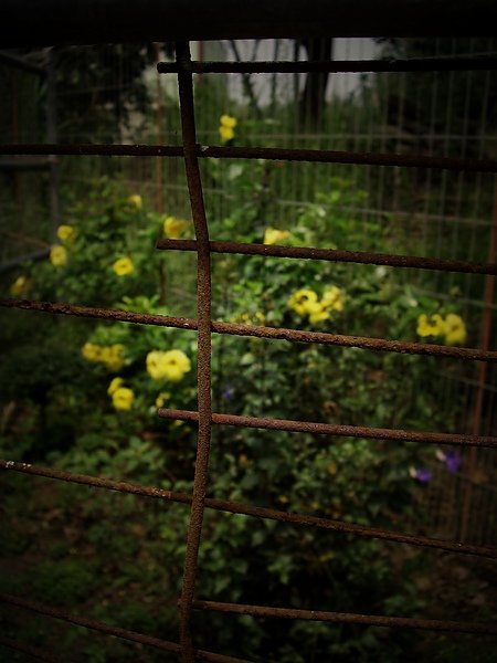 IMGP94491.jpg
