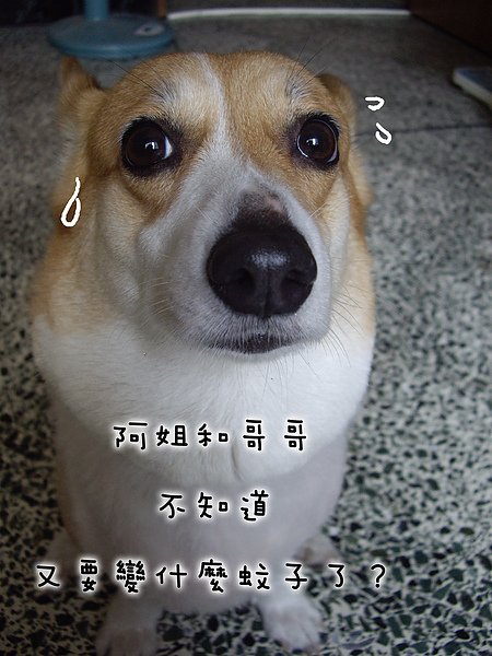 IMGP9228.jpg