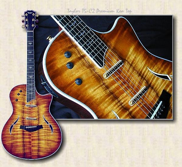 taylor_T5_C2_premium_koa