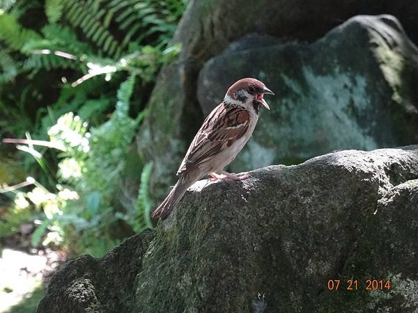 耳目一新公園