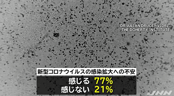  [日本新聞]JNN世論調查.png