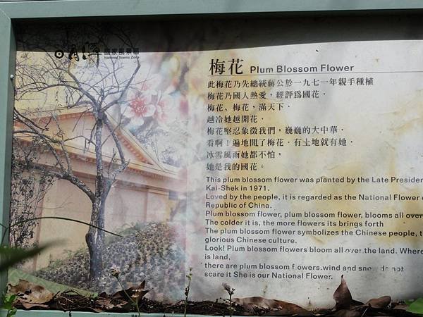 DSC08922.JPG