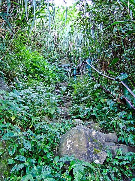 DSCF6737.JPG