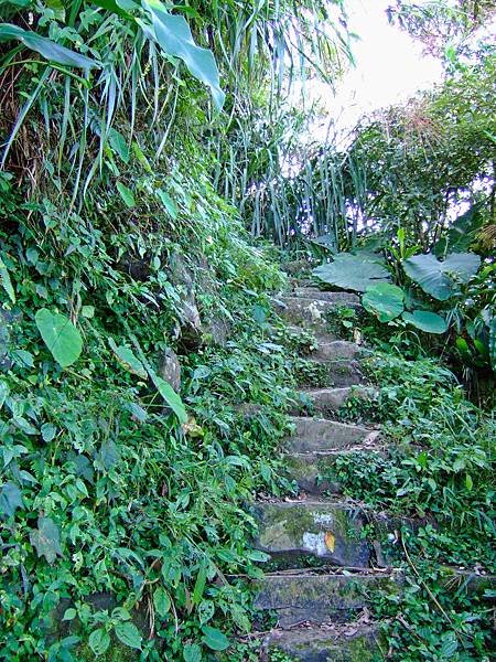 DSCF6753.JPG