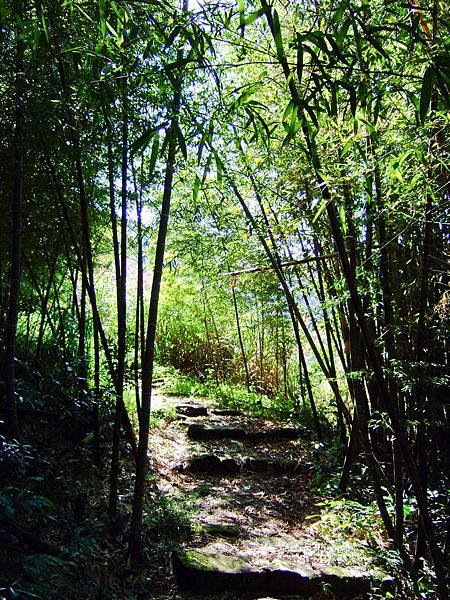 DSCF6785.JPG